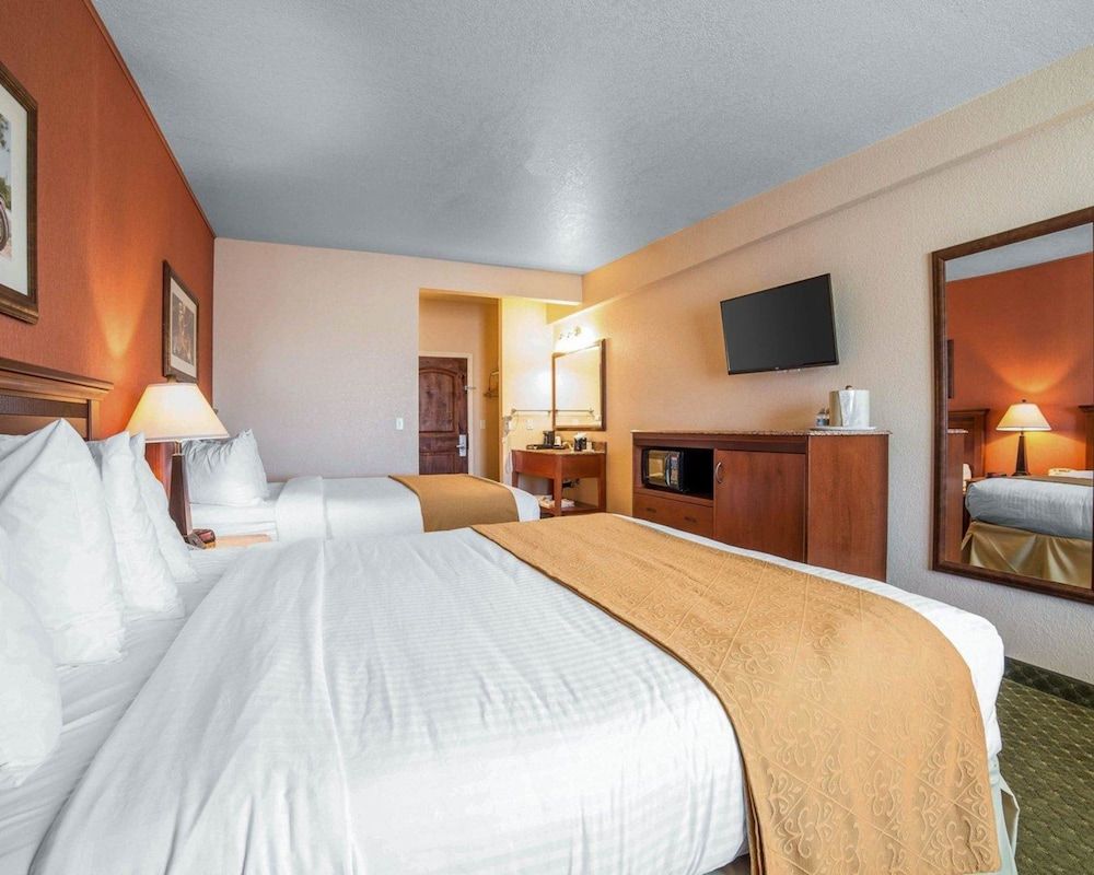 Room, Multiple Beds, Accessible, Non Smoking