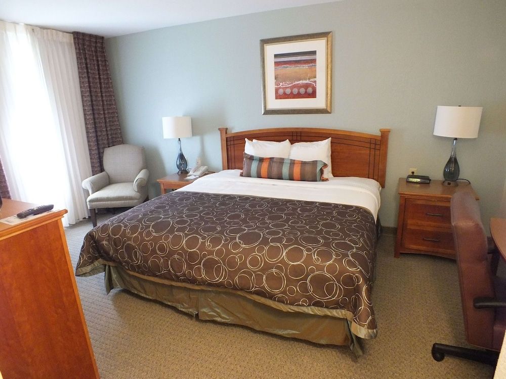 Suite, 1 King Bed with Sofa bed (One Bedroom)