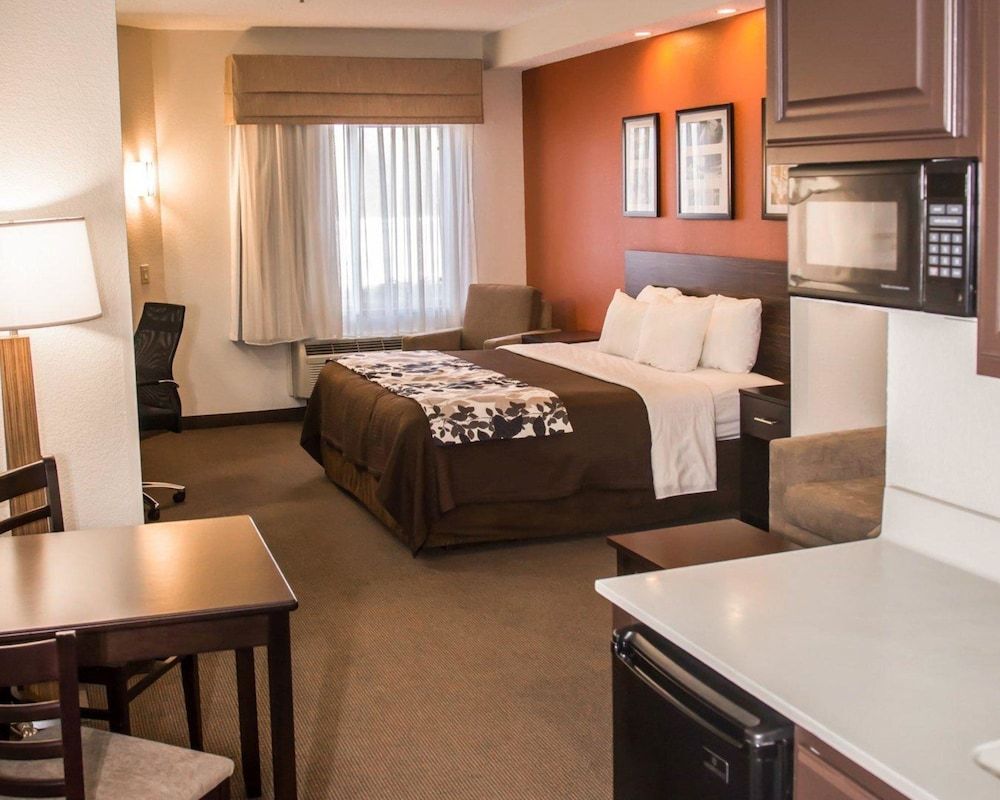 Room, 1 King Bed, Accessible, Non Smoking