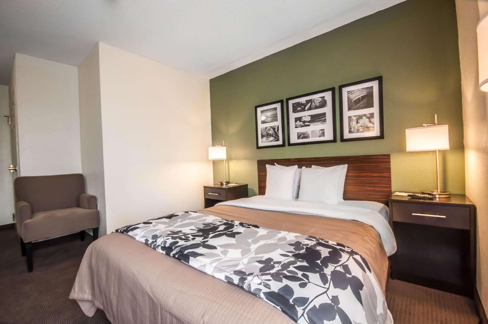1 Queen Bed, Nonsmoking, Accessible