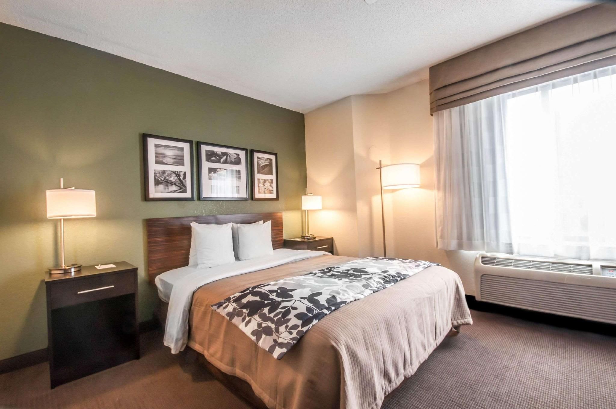 1 Queen Bed, Nonsmoking, Accessible