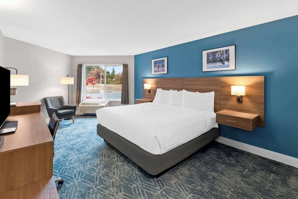 Standard Room, 1 King Bed, Non Smoking