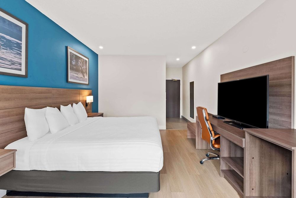 Standard Room, 1 King Bed, Non Smoking (Walk-in Shower)