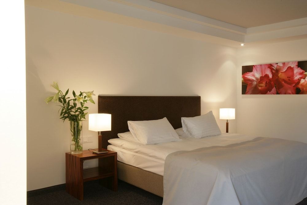 Hotel Erzgiesserei Europe Standard Double Room 2