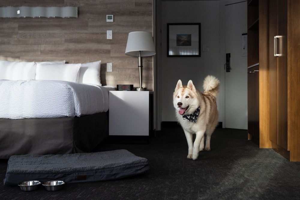 undefined Elk + Avenue Hotel 10