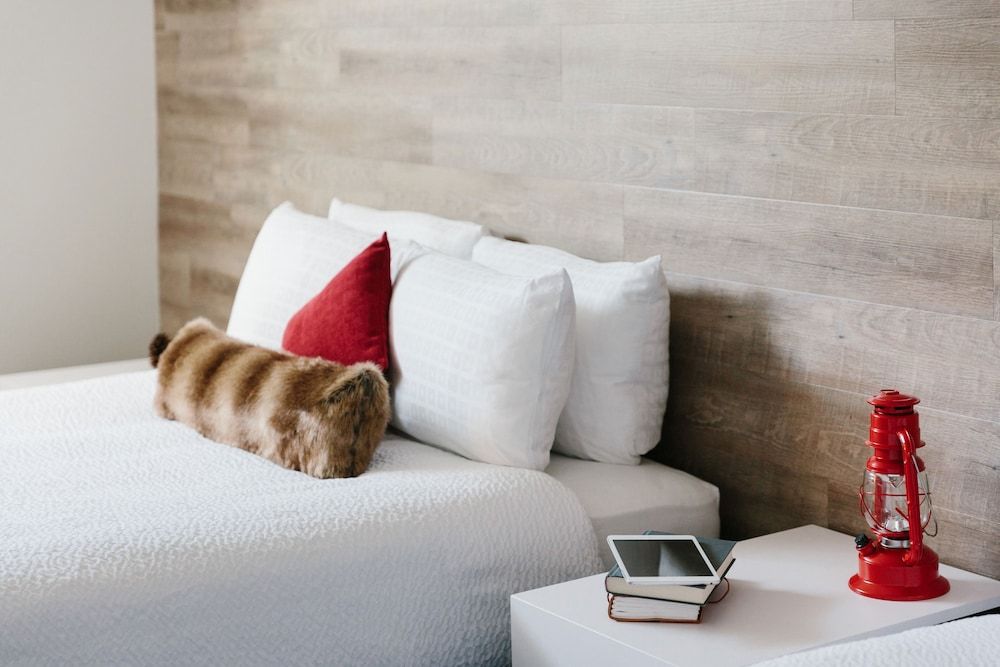 Elk + Avenue Hotel Standard Room, 1 King Bed (Pet Friendly) 3