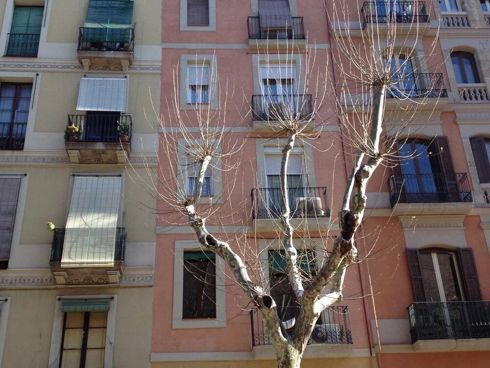 undefined Sant Antoni Market 2