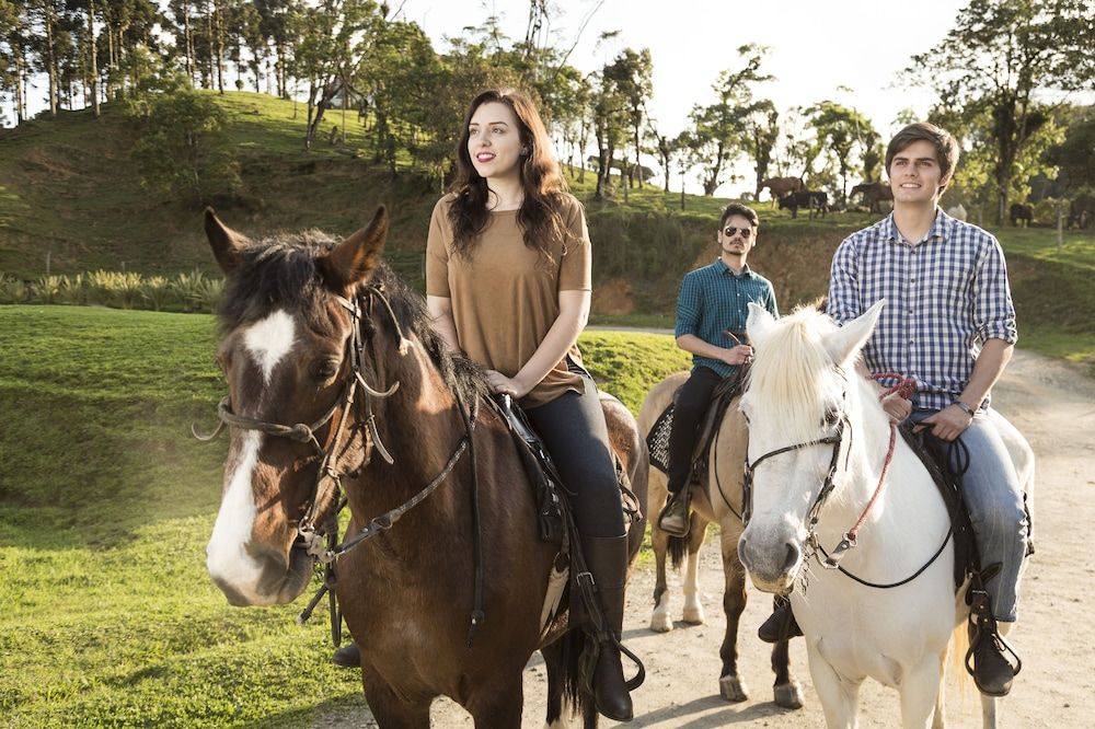 Horse Riding
