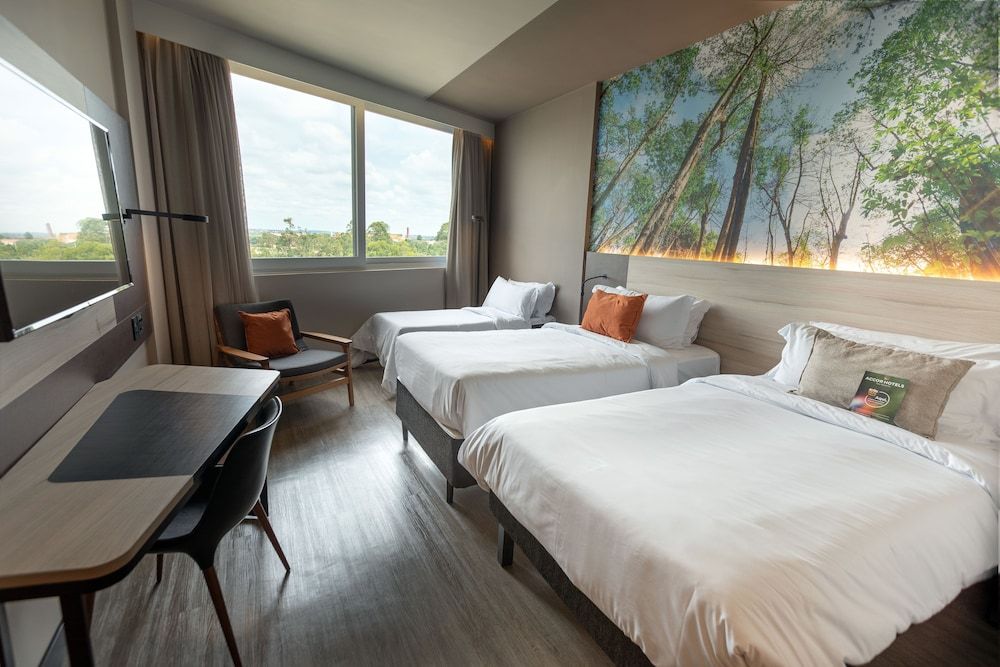 Superior Room, Multiple Beds