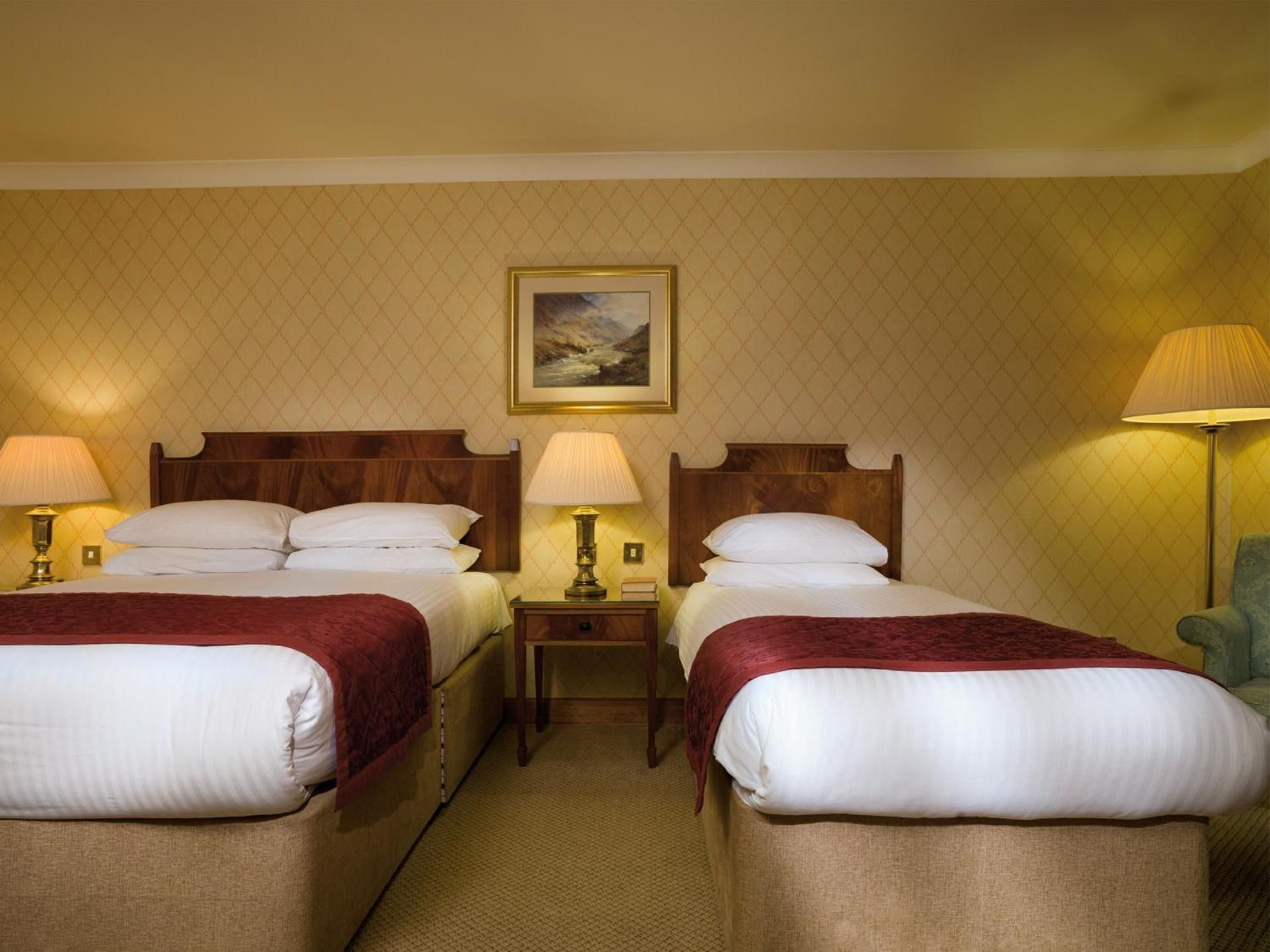 Standard Family Room 3