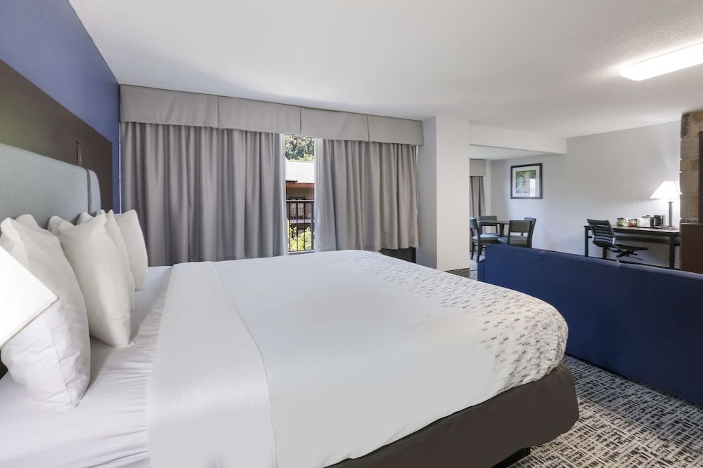 Suite, 1 King Bed, Accessible, Balcony (with Sofabed)