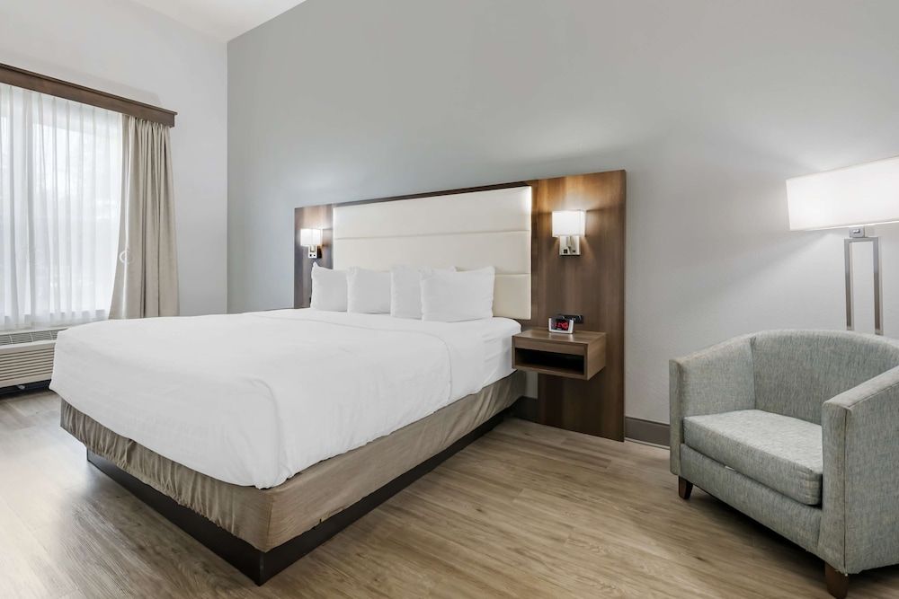 Best Western Plus First Coast Inn & Suites Standard Room, 1 King Bed, Accessible, Non Smoking