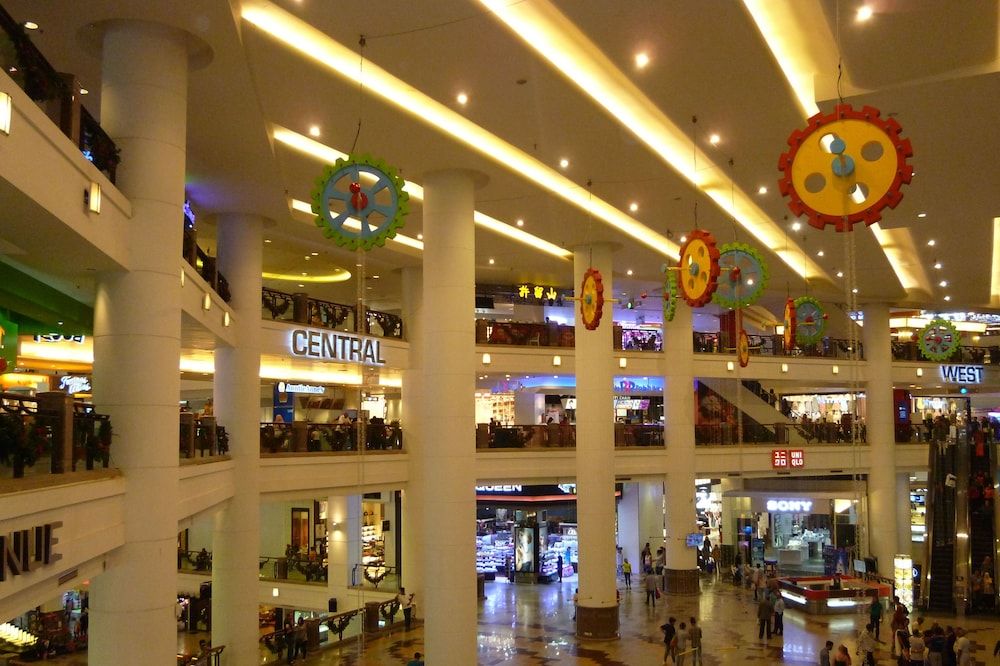 undefined Go Daily service 5