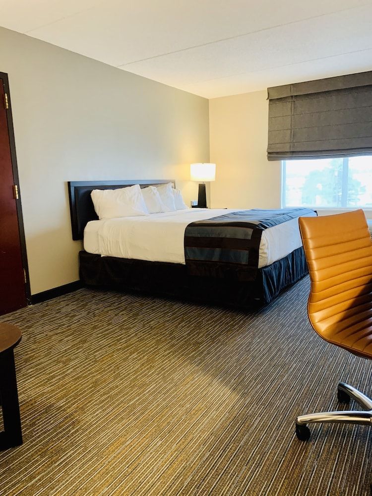 Room, 1 King Bed, Accessible, Non Smoking