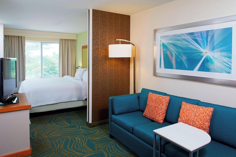 Suite, 1 King Bed with Sofa bed (Mobility/Hearing Accessible, Tub)