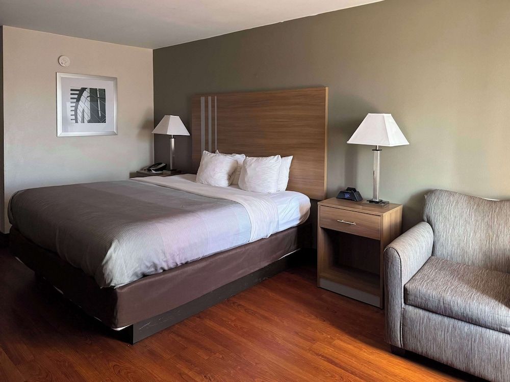 Standard Room, 1 King Bed, Non Smoking