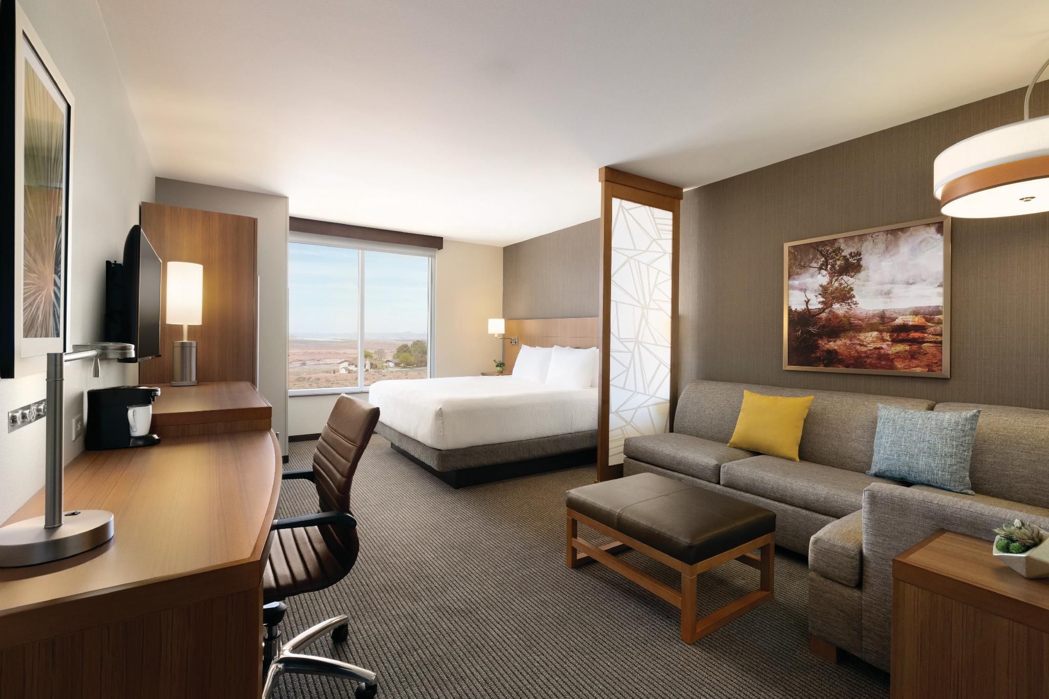 View King Bed (plus Sofa Bed)