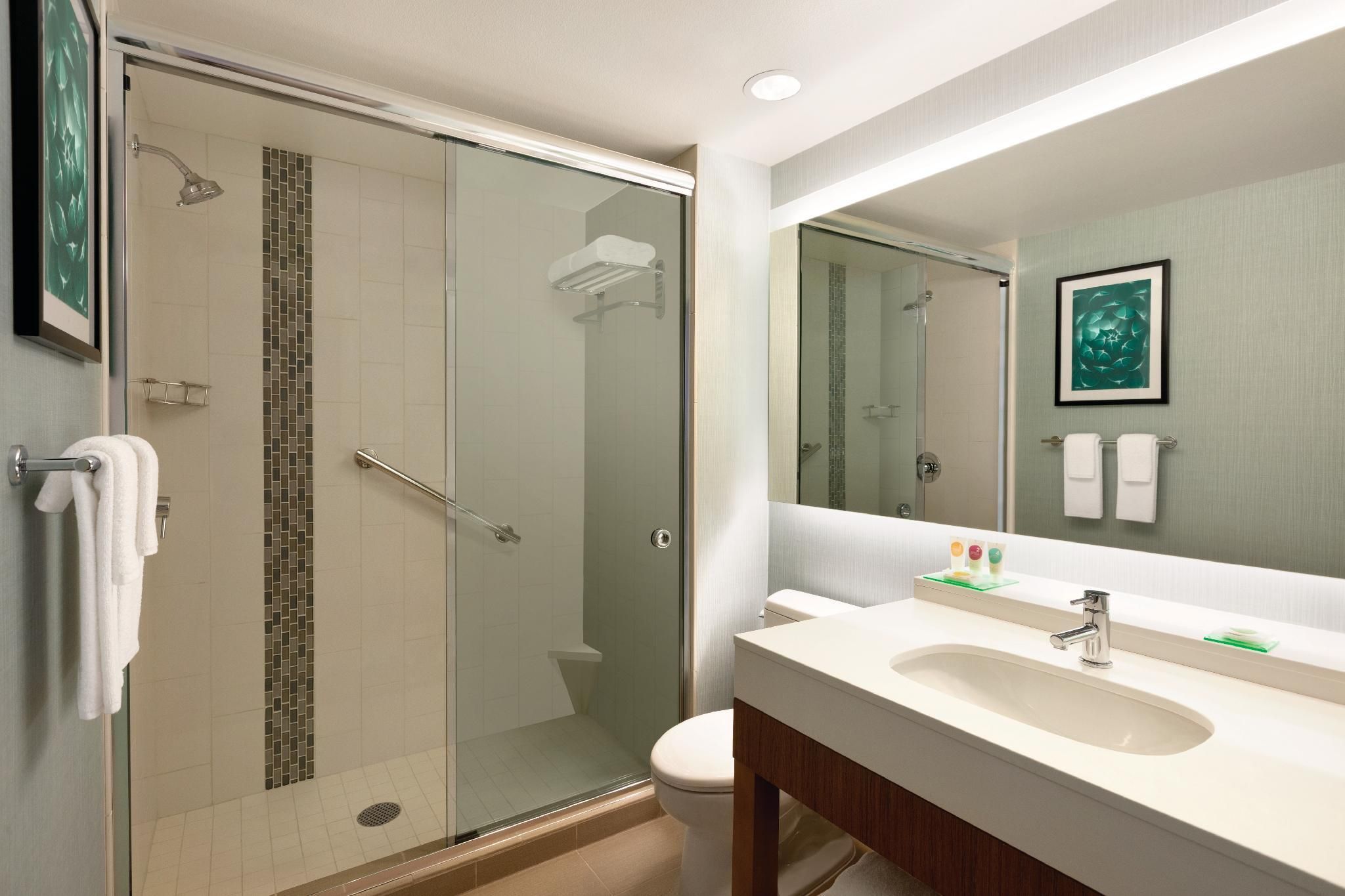 View King Bed (plus Sofa Bed)