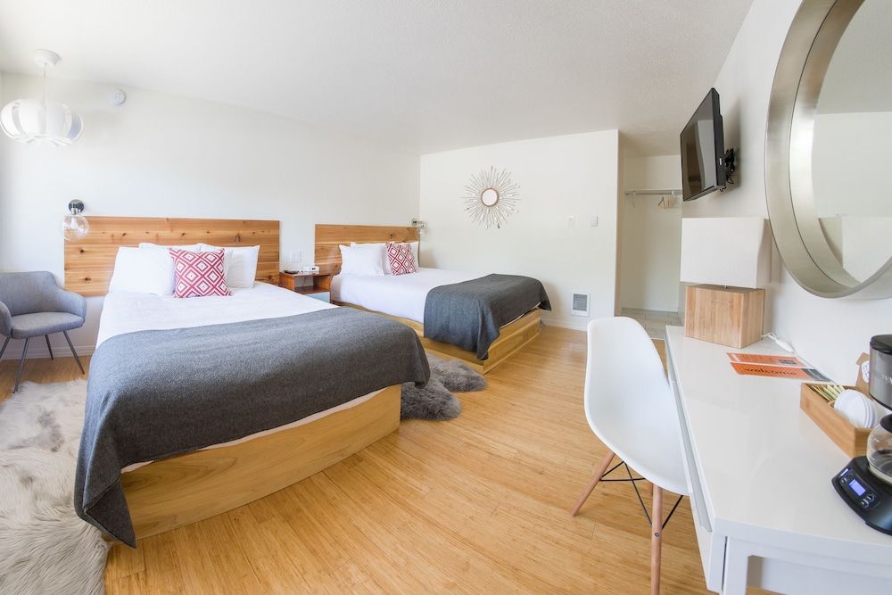 Basic Single Room, 2 Queen Beds