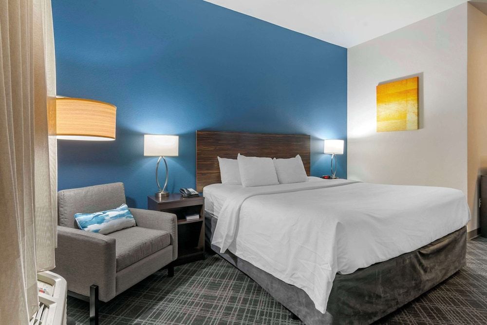 Room, 1 King Bed, Accessible, Non Smoking