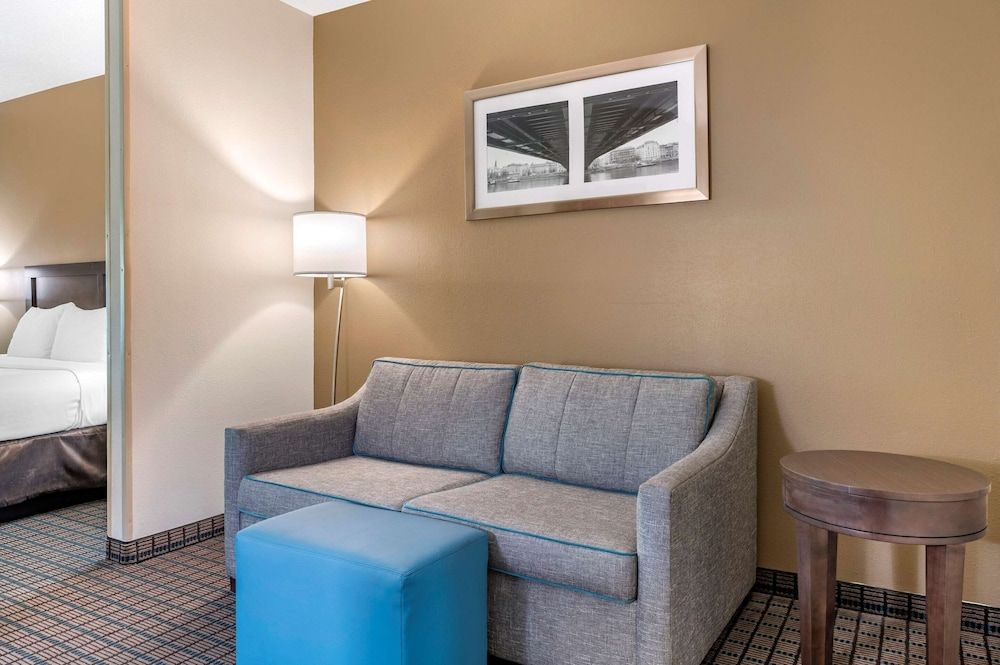 Suite, 1 King Bed with Sofa bed, Non Smoking