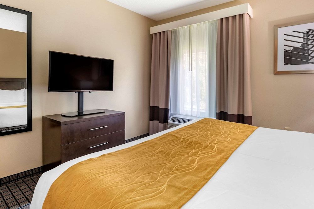 Suite, 1 King Bed with Sofa bed, Non Smoking