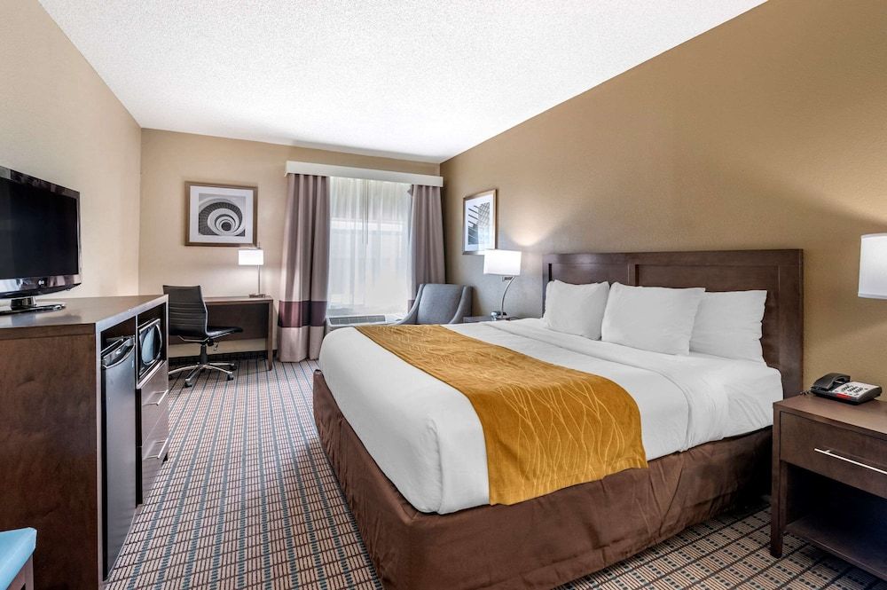 Room, 1 King Bed, Accessible, Non Smoking