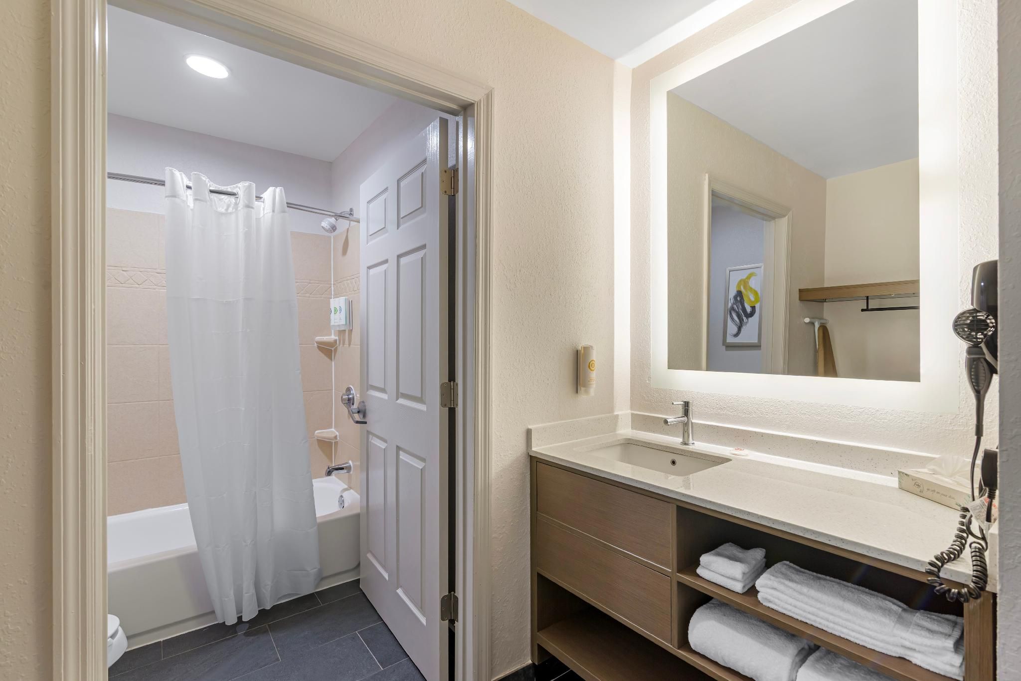 undefined Comfort Inn & Suites Savannah Airport 6