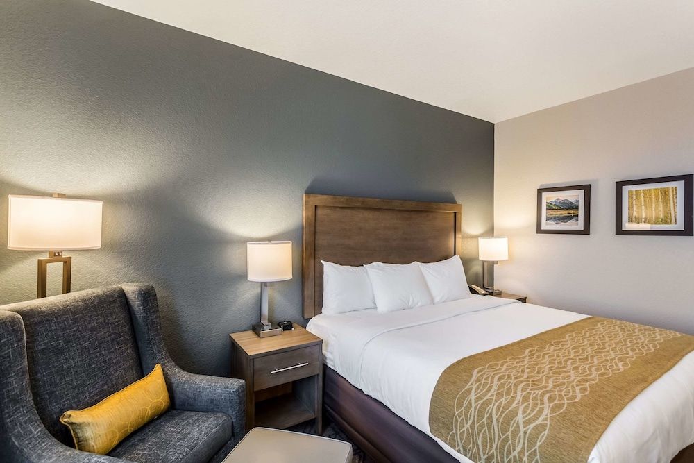 Standard Room, 1 King Bed, Non Smoking