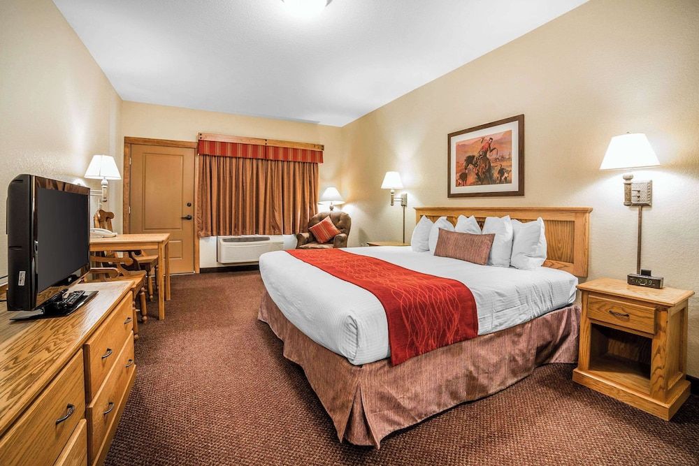 Room, 1 King Bed, Accessible, Non Smoking