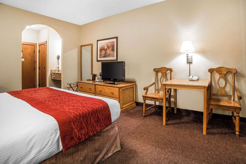 Room, 1 King Bed, Accessible, Non Smoking