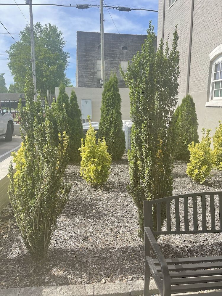 The Meadows Hotel Luxury Single Room, 1 King Bed 7