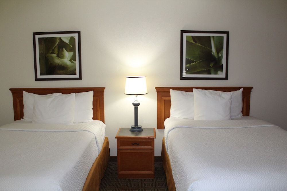 Room, 1 Double Bed, Accessible, Non Smoking (Mobility,Hearing,Roll-In Shower)