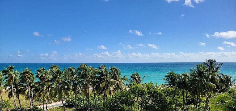 undefined Broadmore Miami Beach 8