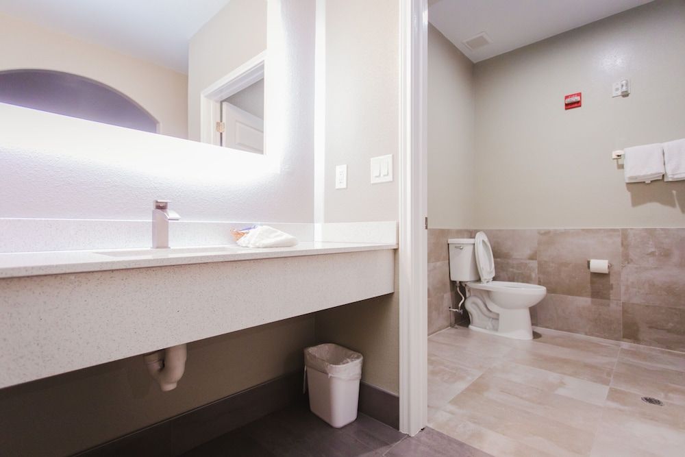 Palace Inn Beltway 8 & Westview Superior Room, 1 King Bed, Smoking 14