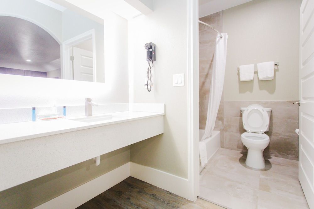 Palace Inn Beltway 8 & Westview Superior Room, 1 King Bed, Smoking 15