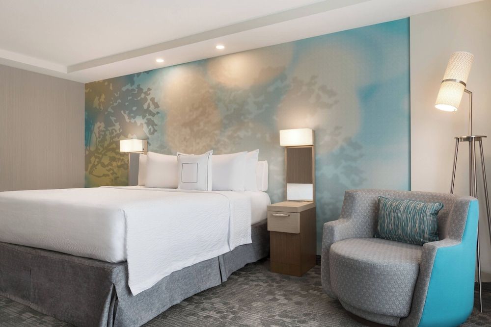 Room, 1 King Bed with Sofa bed