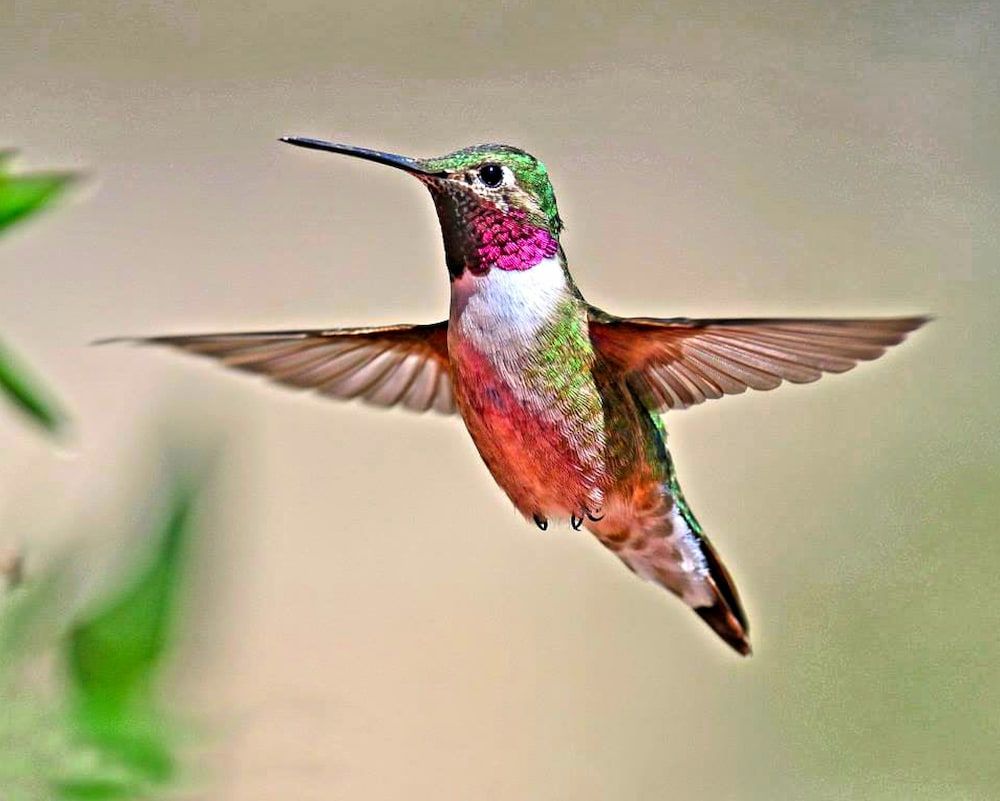 Mein Haus Bed & Breakfast Romantic Queen Bedroom 14