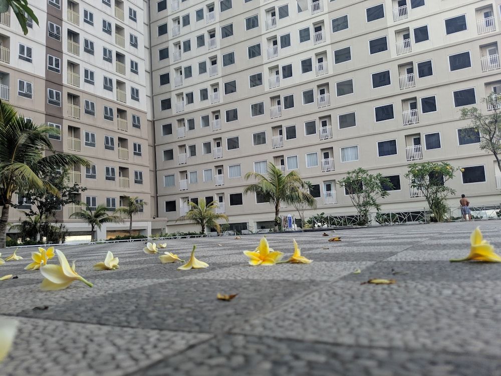 undefined Titanium Express Homtel 8