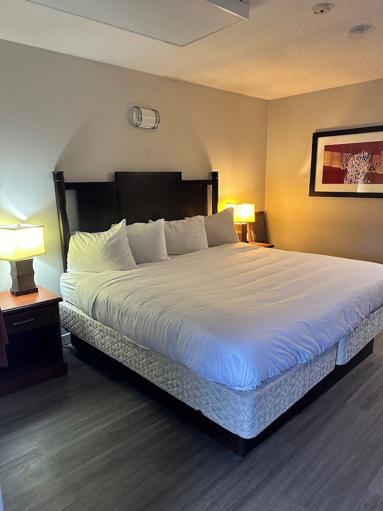 Room, 1 King Bed, Non Smoking