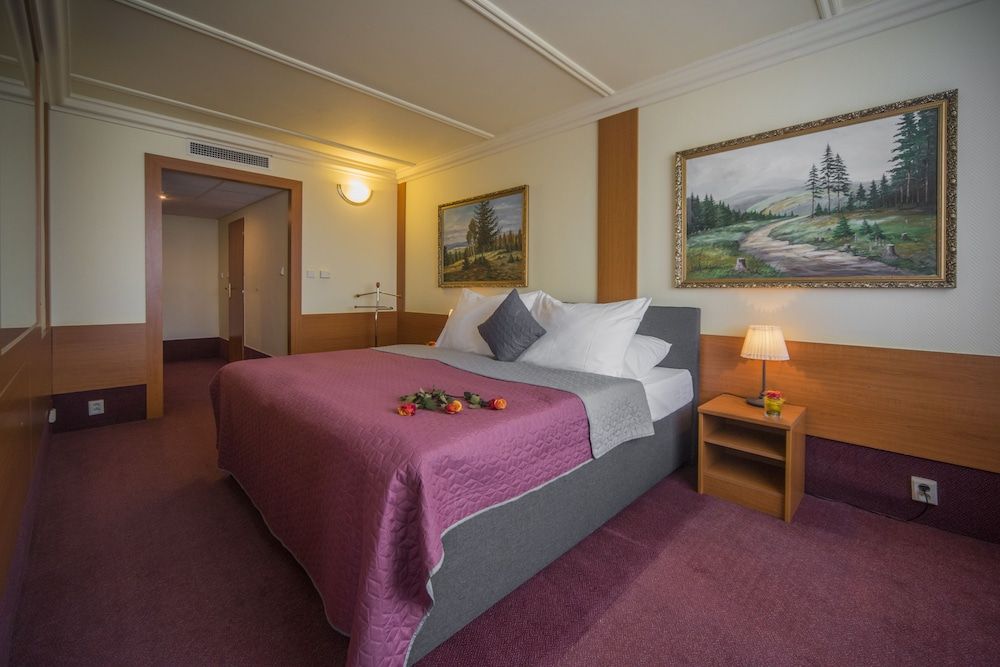 undefined TOP HOTEL Praha & Conference Centre 9