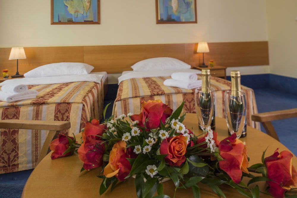 undefined TOP HOTEL Praha & Conference Centre 6