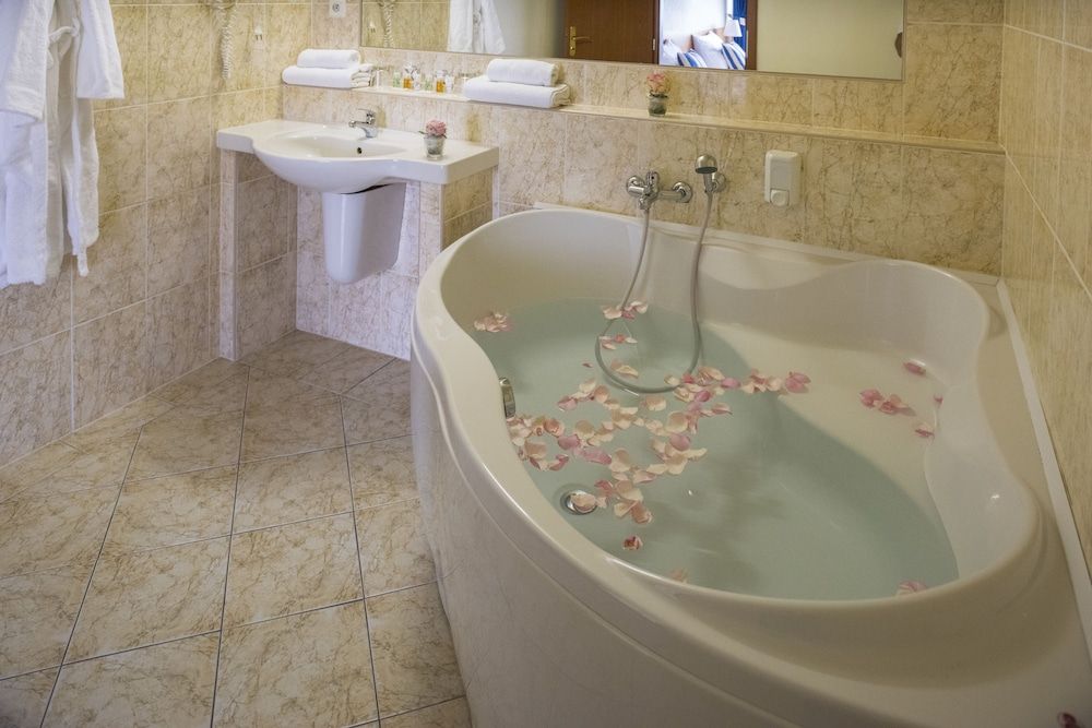 undefined TOP HOTEL Praha & Conference Centre 8