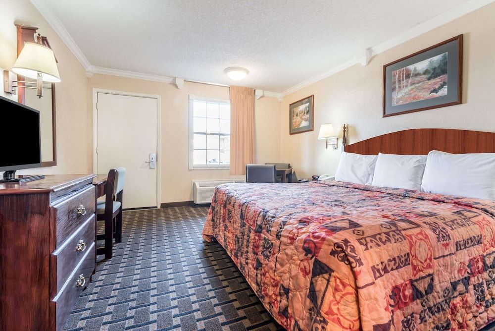 Room, 1 King Bed