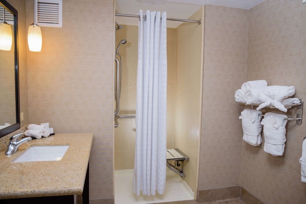 Suite, One King Bed, Roll In Shower