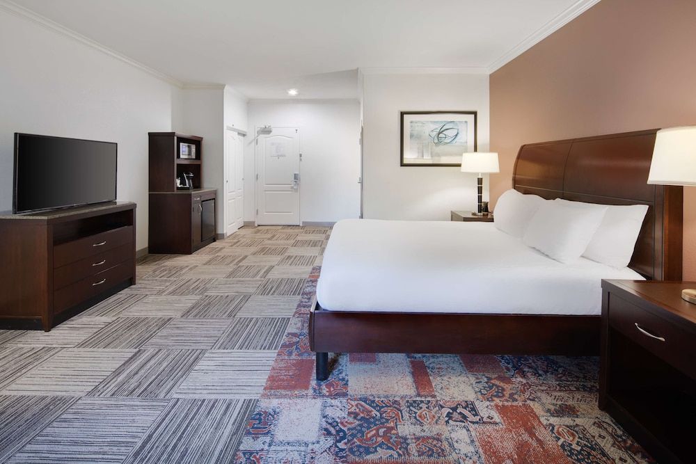 Room, 1 King Bed (Shower Only)