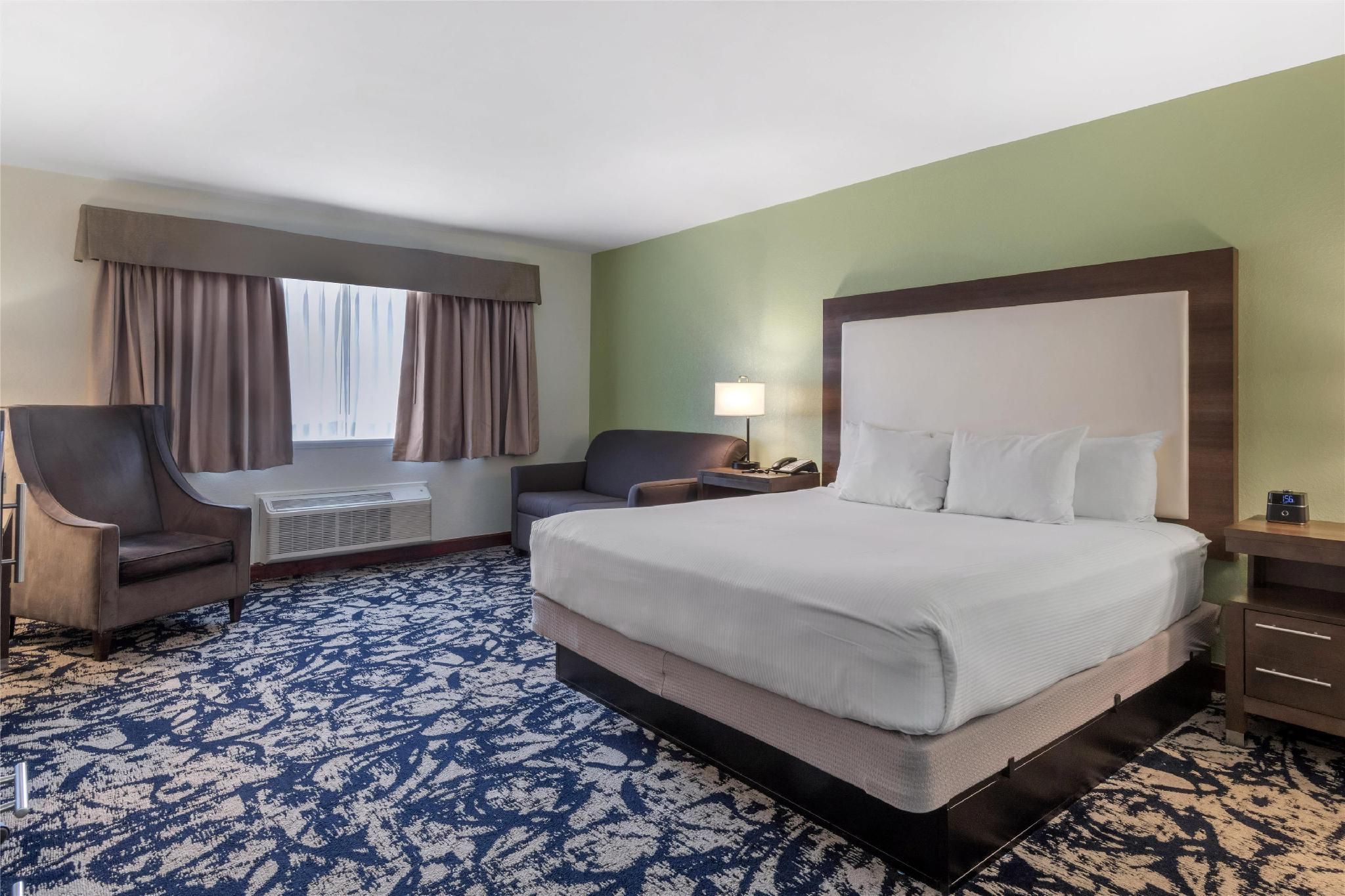 1 King Bed, Nonsmoking, Deluxe Room, Sofabed