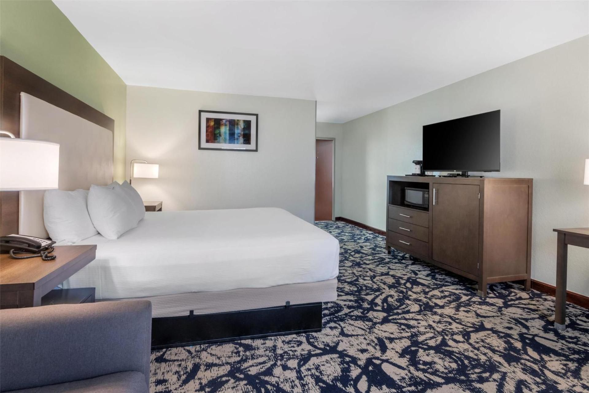 1 King Bed, Nonsmoking, Deluxe Room, Sofabed