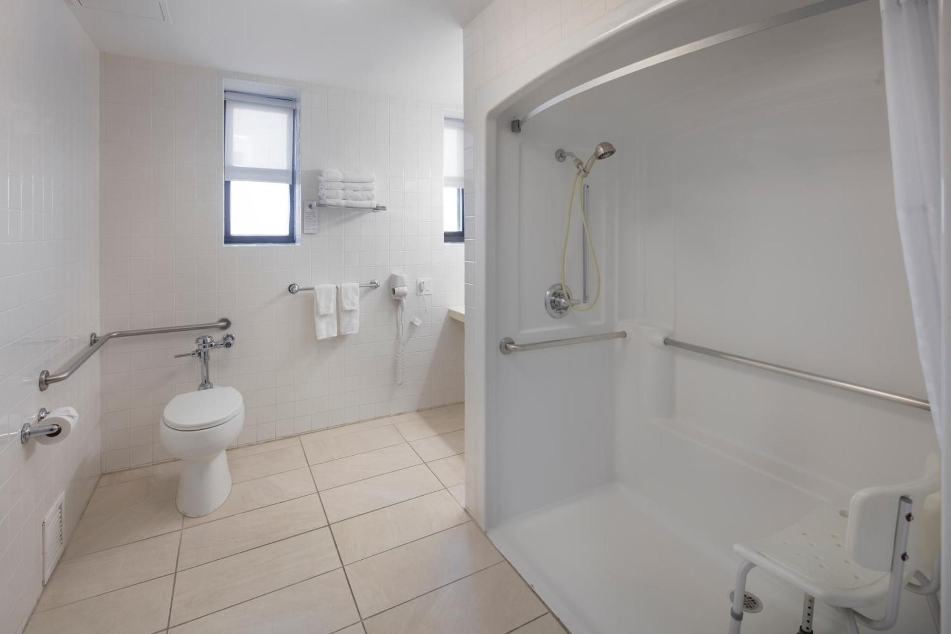 1 King Bed Accessible Suite