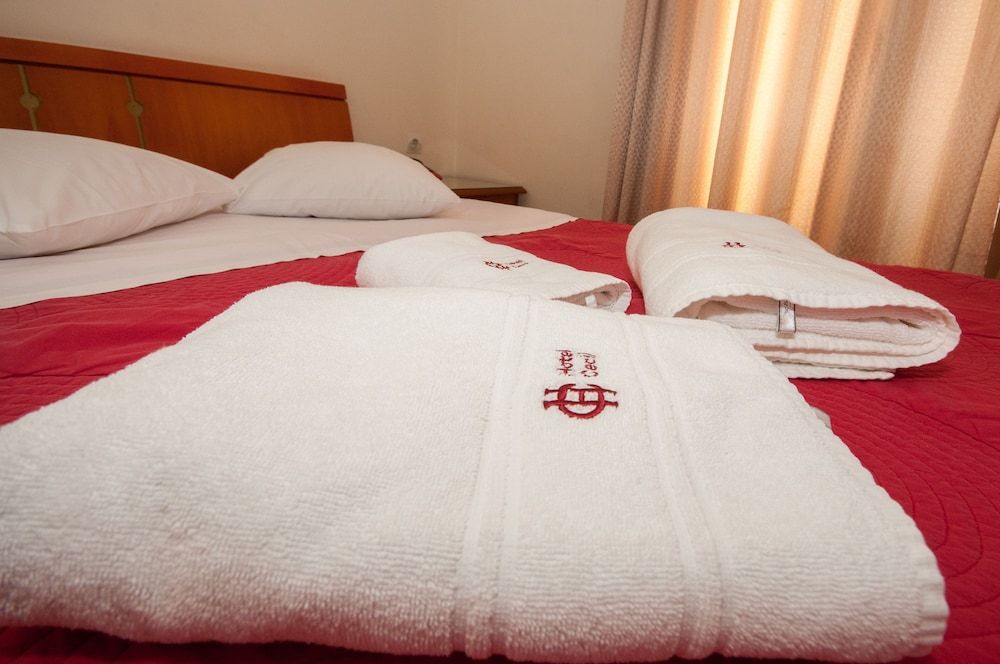 Cecil Hotel Economy Double Room 4